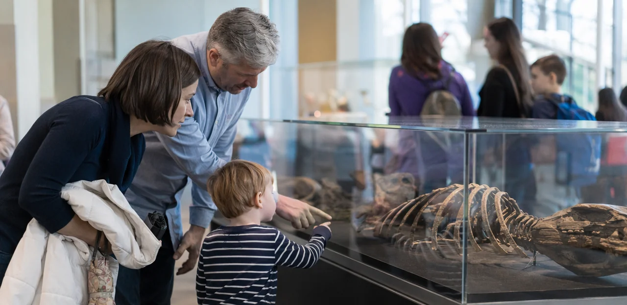 Why visitor feedback tools matter for museums and attractions